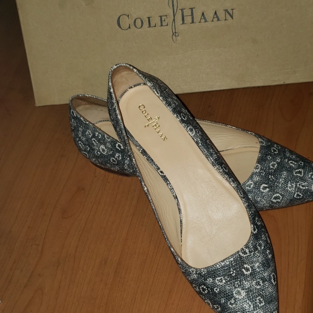 USED COLE HAAN FLATS